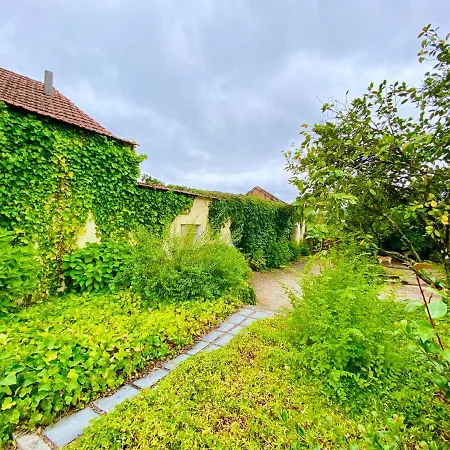 Quinta Da Vergueira * Figueiro Dos Vinhos