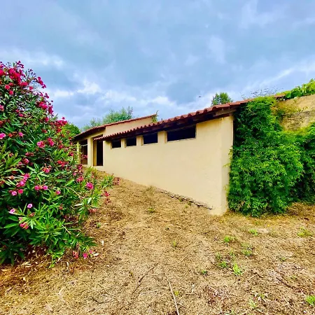 Quinta Da Vergueira * Figueiro Dos Vinhos