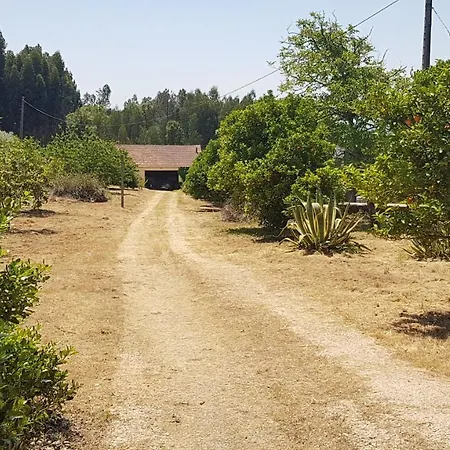 Quinta Da Vergueira * Figueiro Dos Vinhos